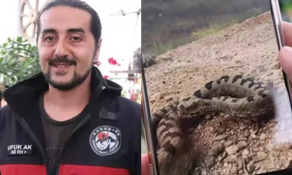 Τρόμος με την πιο δηλητηριώδη οχιά στον κόσμο που εθεάθη στην Τουρκία